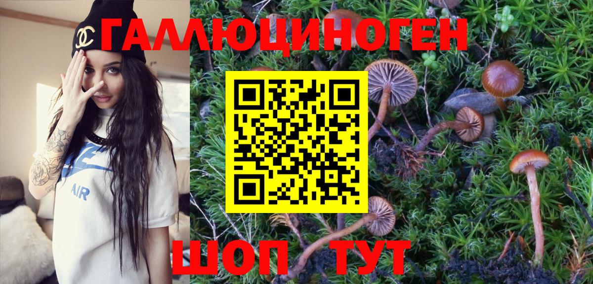 Барнаул  Галлюциногенные грибы Magic Shrooms  Вход с VPN  Галлюциногенные грибы Magic Shrooms 